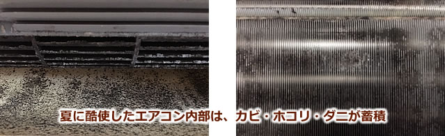 夏に酷使したエアコン内部はカビ、ホコリ、ダニが蓄積